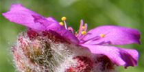 image 02